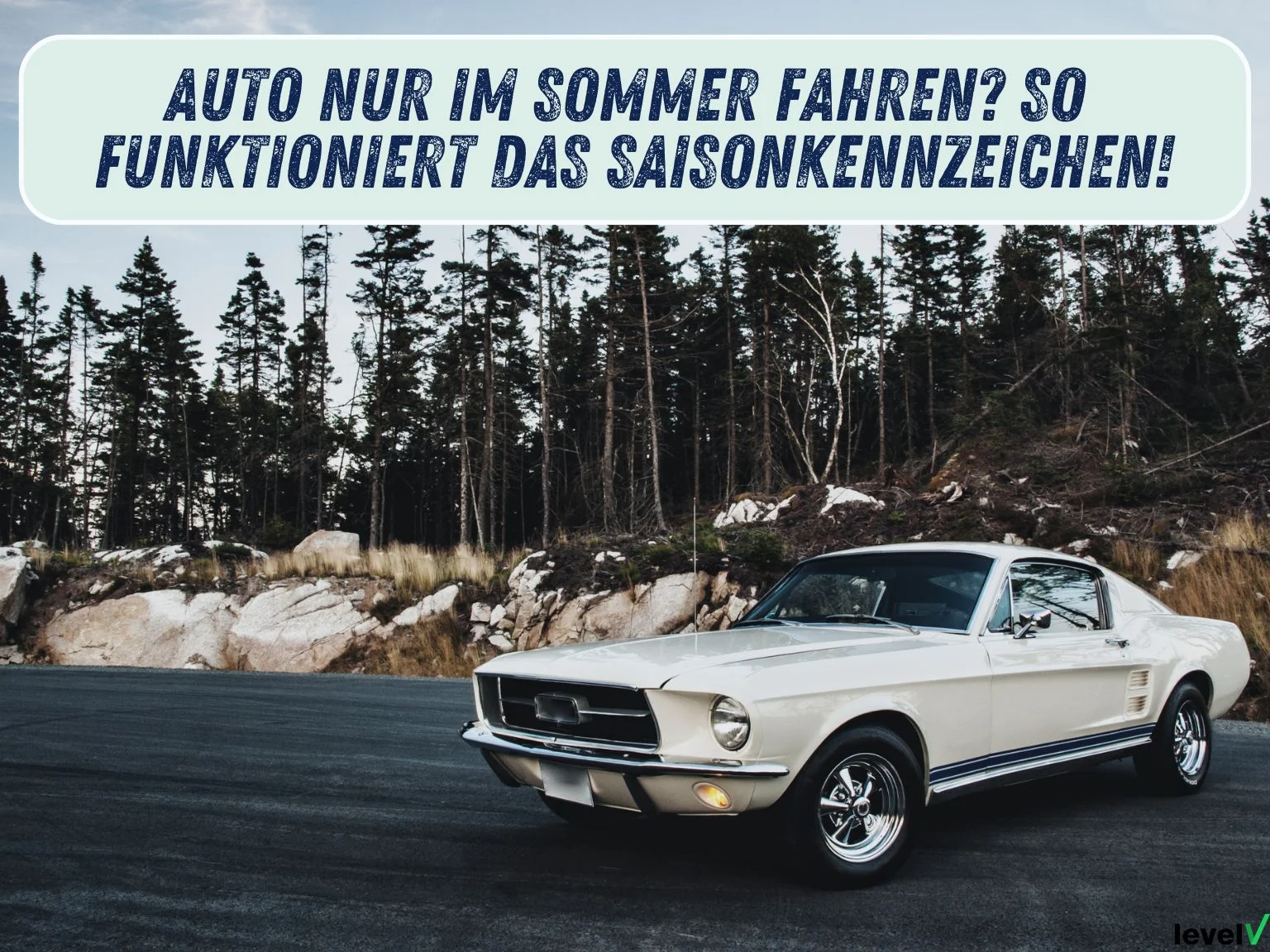 Auto Saisonkennzeichen