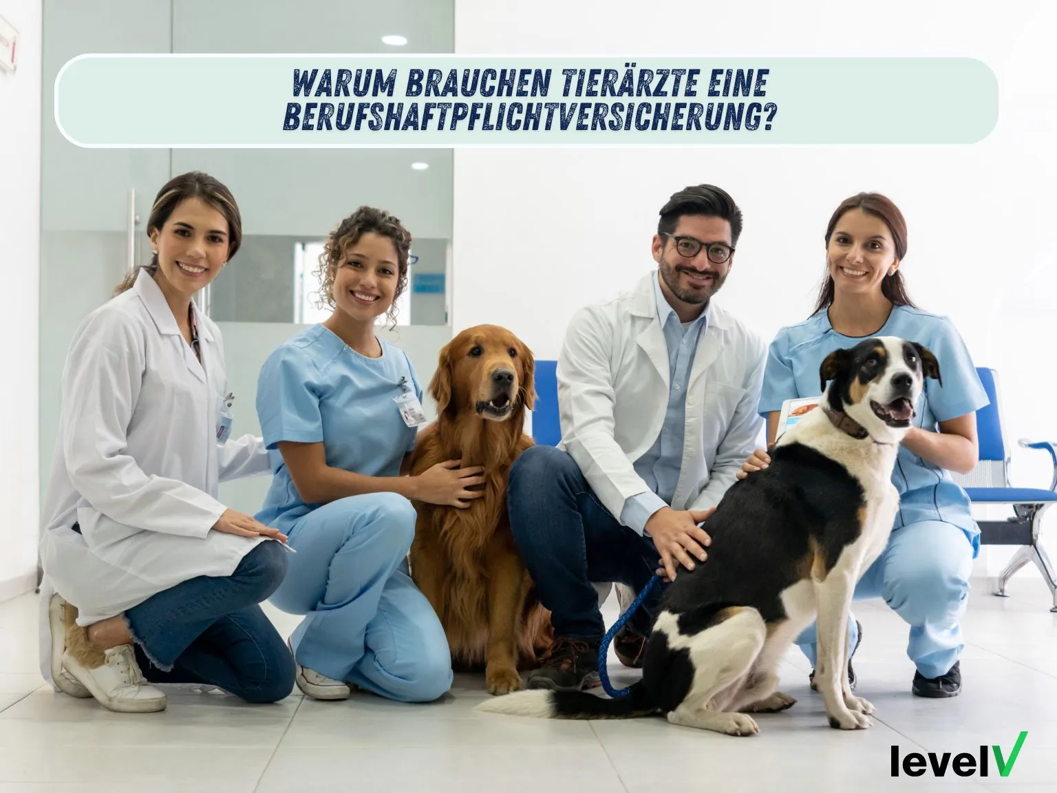 Warum-Berufshaftpflicht-tierärzte